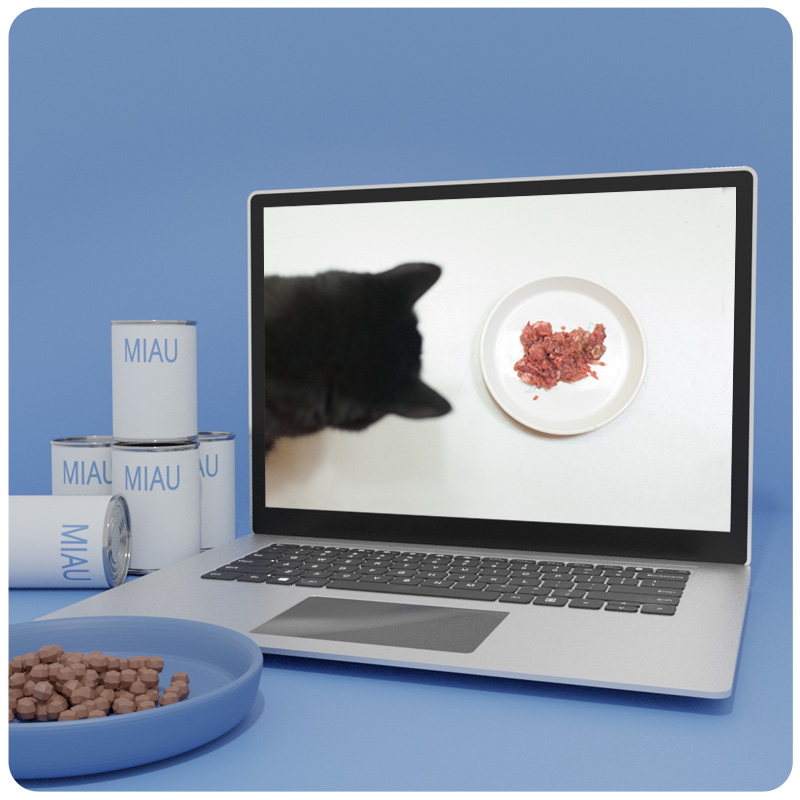 Das Foto zeigt einen Laptop auf dem der Videokurs Futterumstellung bei Katzen läuft