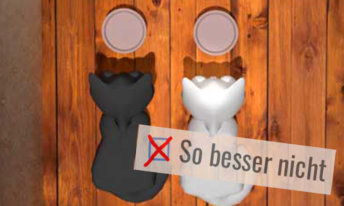 Die Grafik zeigt zwei Katzen, die nebeneinander fressen. Die Aufschrift sagt "So besser nicht"