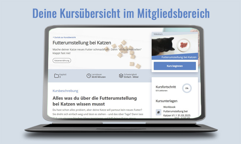 Das Foto zeigt einen Laptop der die Kursübersicht zum Videokurs Futterumstellung bei Katzen im Mitgliedsbereich zeigt