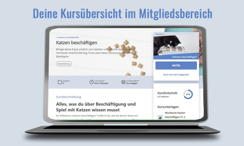Das Foto zeigt einen Laptop der die Kursübersicht zum Videokurs Katzen beschäftigen im Mitgliedsbereich zeigt