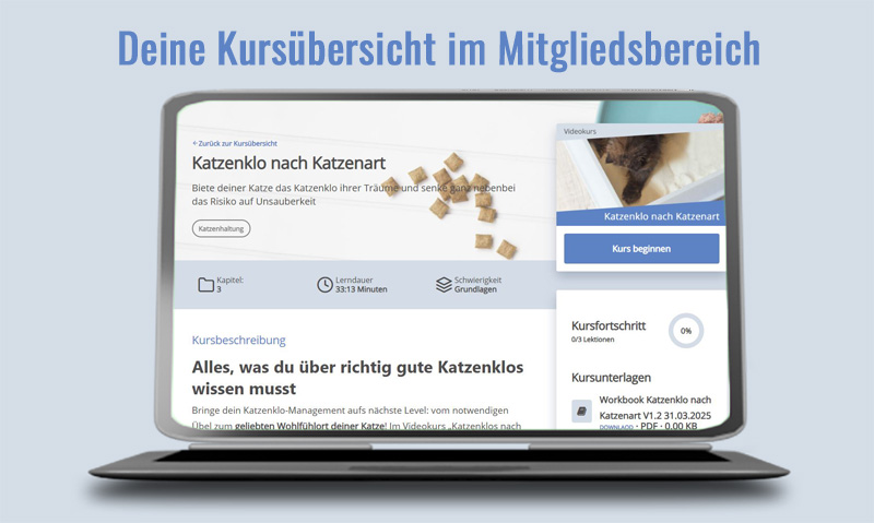 Das Foto zeigt einen Laptop der die Kursübersicht zum Videokurs Katzenklo nach Katzenart im Mitgliedsbereich zeigt