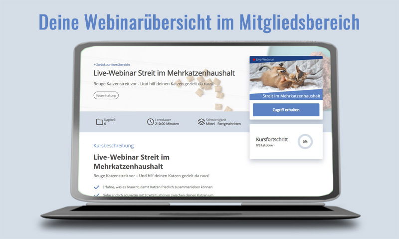 Das Foto zeigt einen Laptop der die Webinarübersicht zum Webinar Streit im Mehrkatzenhaushalt im Mitgliedsbereich zeigt