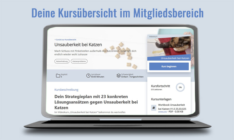 Das Foto zeigt einen Laptop der die Kursübersicht zum Videokurs Unsauberkeit bei Katzen im Mitgliedsbereich zeigt