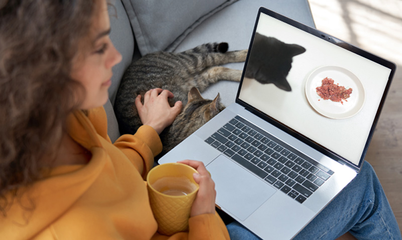 Das Foto zeigt eine Frau mit Laptop auf dem Schoß, einer Kaffeetasse in der Hand, wie sie mit der anderen Hand die Katze neben sich streichelt. Auf dem Laptop läuft der Videokurs Futterumstellung bei Katzen
