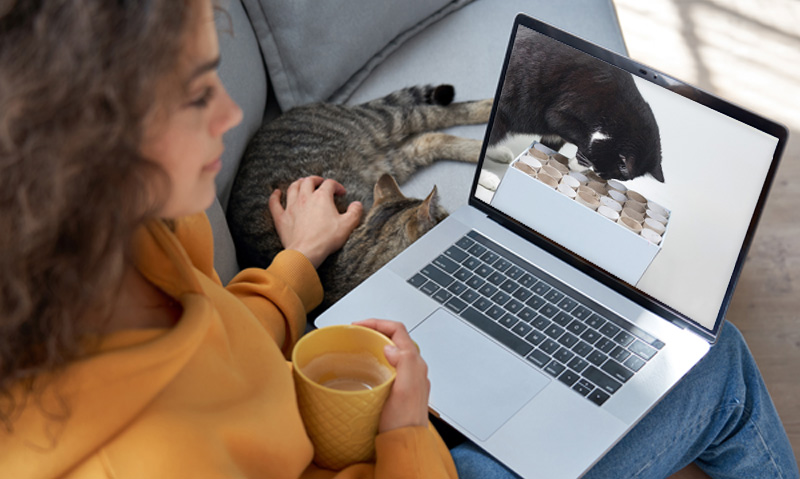 Das Foto zeigt eine Frau mit Laptop auf dem Schoß, einer Kaffeetasse in der Hand, wie sie mit der anderen Hand die Katze neben sich streichelt. Auf dem Laptop läuft der Videokurs Katzen beschäftigen