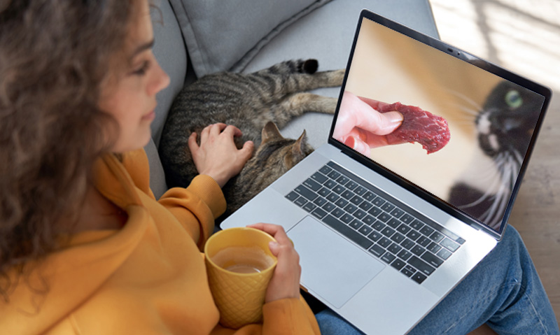 Das Foto zeigt eine Frau mit Laptop auf dem Schoß, einer Kaffeetasse in der Hand, wie sie mit der anderen Hand die Katze neben sich streichelt. Auf dem Laptop läuft der Videokurs Rohfütterung von Katzen