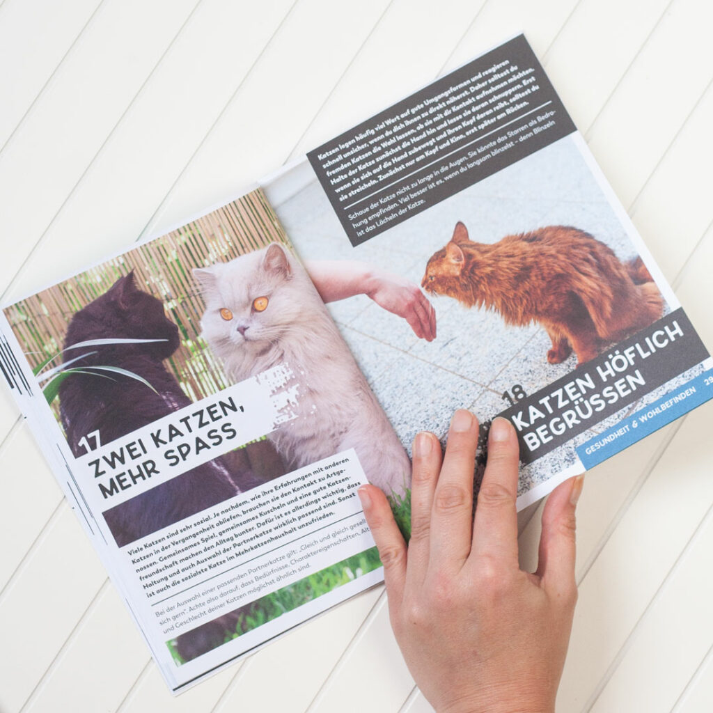 Das Foto zeigt einen Einblick in eine Doppelseite des Buchs Trick 17 kompakt Katzen