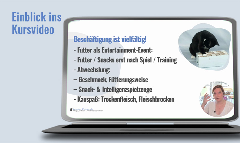Das Foto zeigt einen Laptop auf dem das Kursvideo Katzen beschäftigen läuft. Die Überschrift sagt Einblick ins Kursvideo