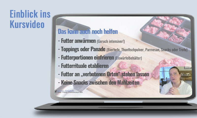 Das Foto zeigt einen Laptop auf dem das Kursvideo Futterumstellung bei Katzen läuft. Die Überschrift sagt Einblick ins Kursvideo