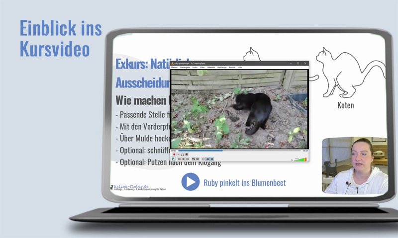 Das Foto zeigt einen Laptop auf dem das Kursvideo Unsauberkeit bei Katzen läuft. Die Überschrift sagt Einblick ins Kursvideo
