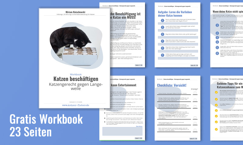 Die Grafik zeigt 7 Seiten des Workbooks Katzen beschäftigen mit der Unterschrift Gratis Workbook 23 Seiten