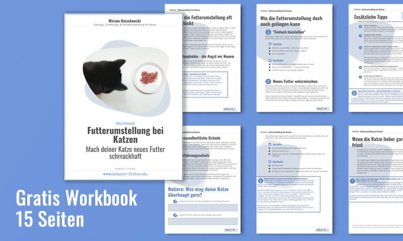 Die Grafik zeigt 7 Seiten des Workbooks Futterumstellung bei Katzen mit der Unterschrift Gratis Workbook 15 Seiten
