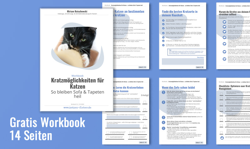 Die Grafik zeigt 7 Seiten des Workbooks Kratzmöglichkeiten für Katzen mit der Unterschrift Gratis Workbook 14 Seiten