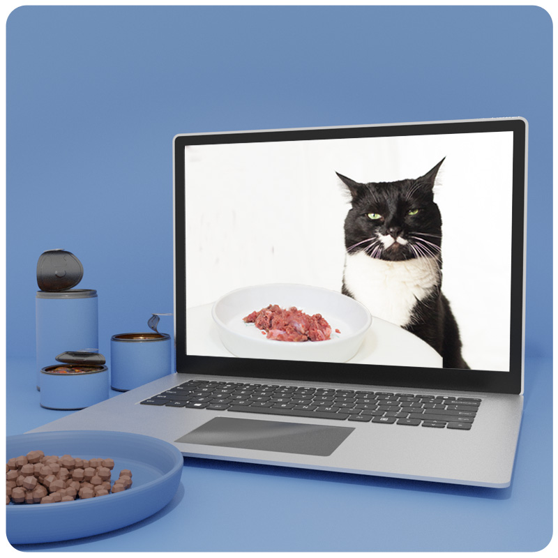 Das Foto zeigt einen Laptop, auf dem der Videokurs Mäkelige Katzen läuft. Daneben ist das Deckblatt des dazugehörigen Workbooks