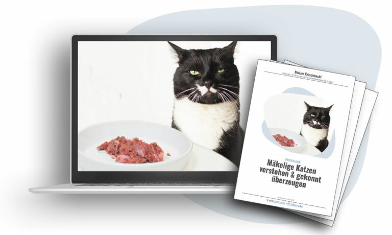 Das Foto zeigt einen Laptop, auf dem der Videokurs Mäkelige Katzen läuft. Daneben ist das Deckblatt des dazugehörigen Workbooks
