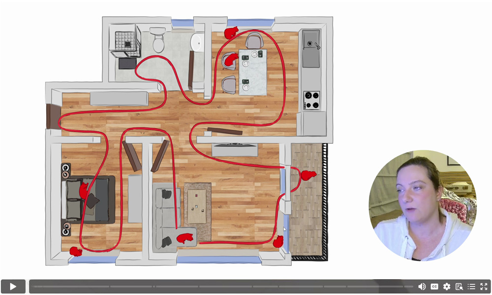 Einblick ins Kursvideo: wir richten eine Beispielwohnung ein