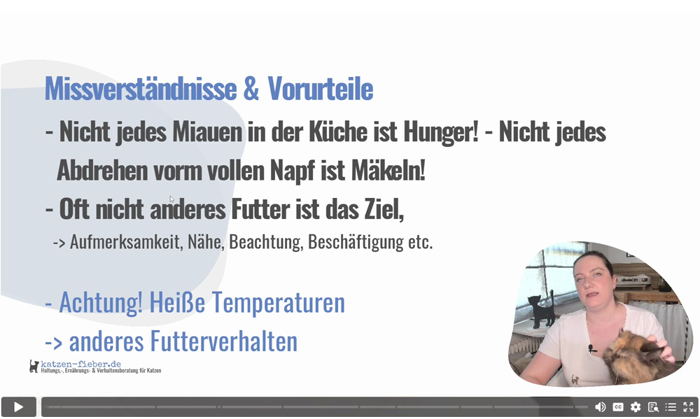 Einblick ins Kursvideo: Es gibt viel zu viele Missverständnisse rund ums Mäkeln