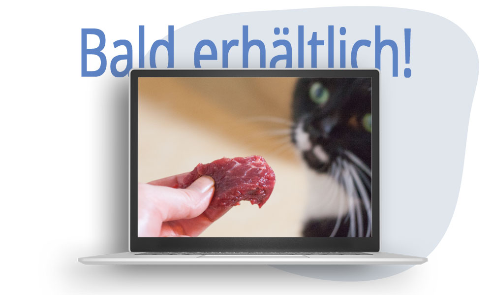 Dieser Kurs geht bald in den Verkauf!
