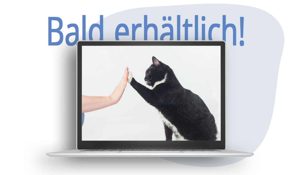 Dieser Kurs geht bald in den Verkauf!