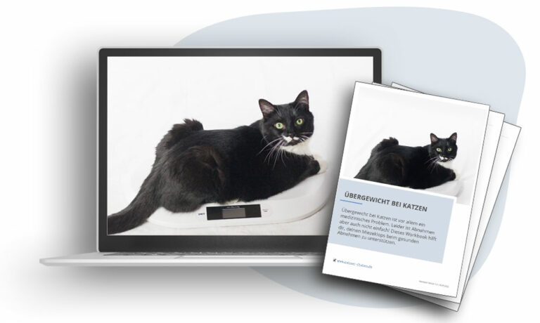 Das Foto zeigt einen Laptop, auf dem der Videokurs Übergewicht bei Katzen läuft. Daneben ist das Deckblatt des dazugehörigen Workbooks