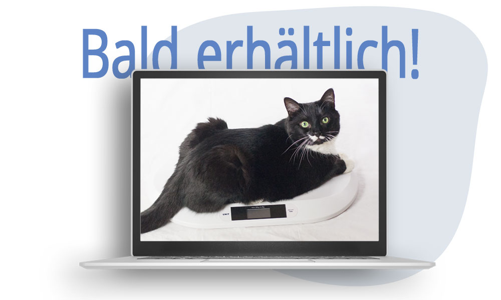 Dieser Kurs geht bald in den Verkauf!