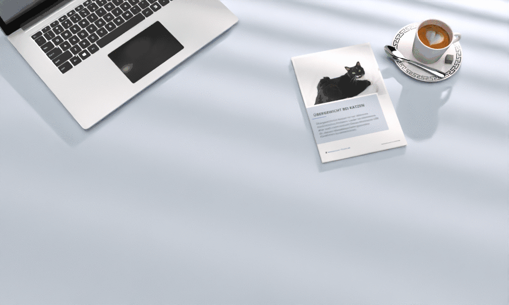 Ein kleiner Einblick in dein Handbuch Übergewicht bei Katzen