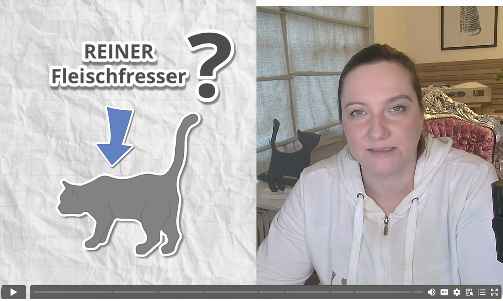 Einblick in ein Kursvideo: Wir sprechen darüber, was die Ernährung unserer Fleischfresser so besonders macht