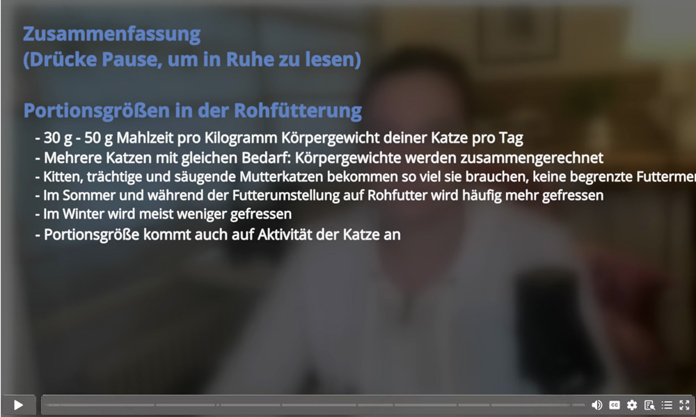 Am Ende vieler Videos findest du eine bequeme Zusammenfassung