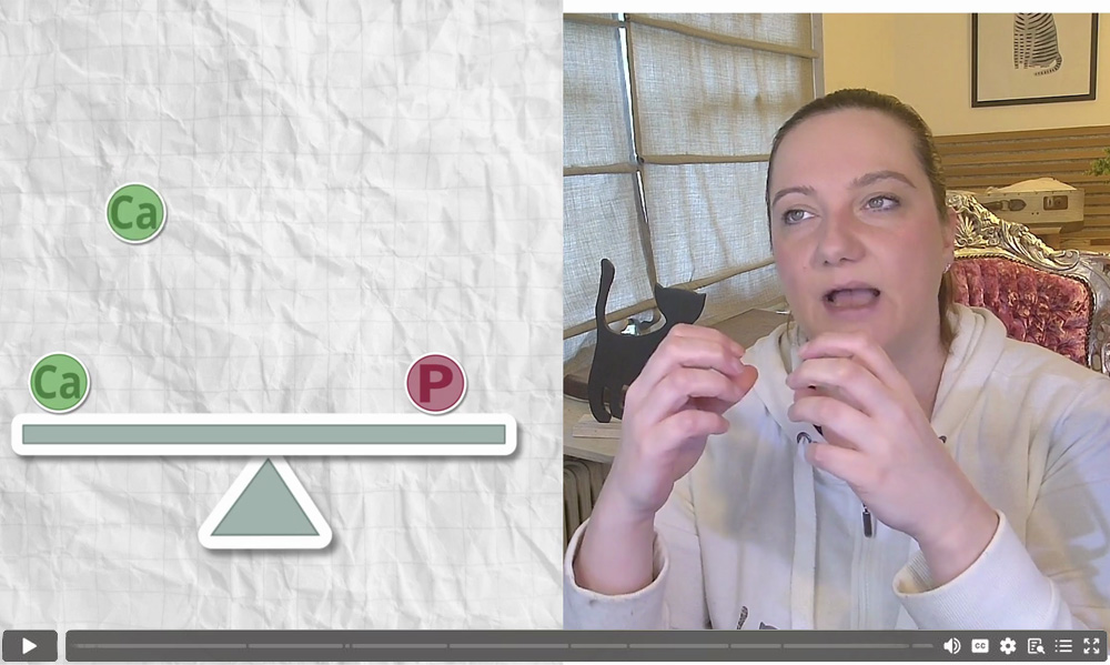 Damit du weißt, was es mit dem Kalzium:Phosphor-Verhältnis auf sich hat, erkläre ich es dir ganz einfach