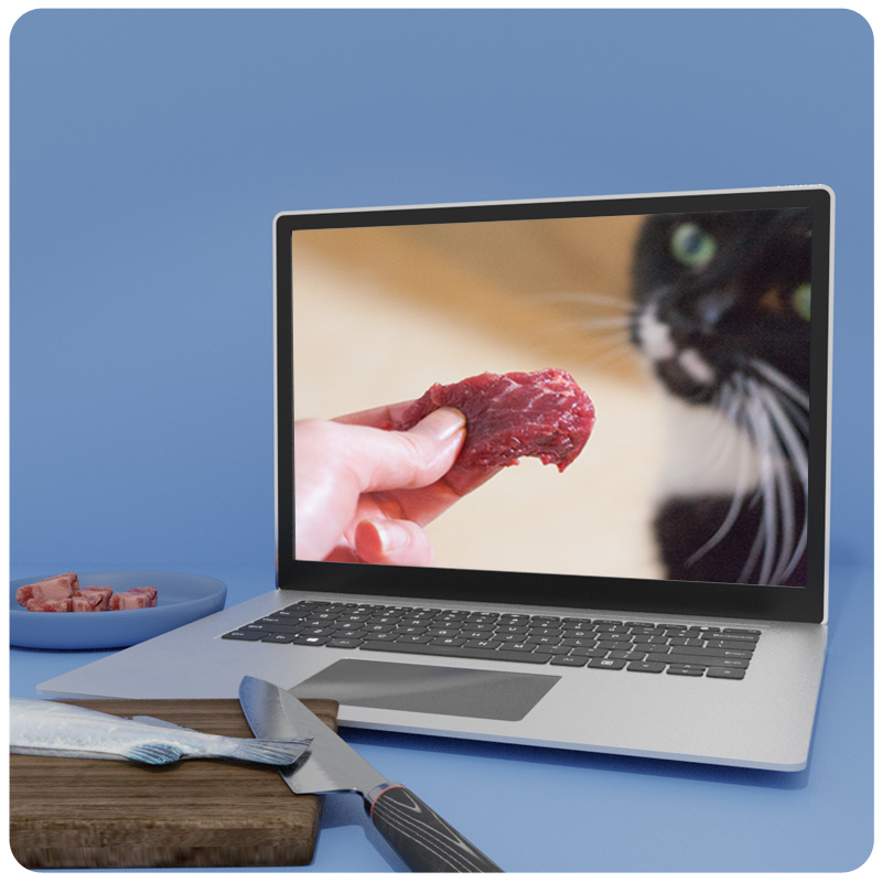 Rohfütterung von Katzen – Paket Nährstoffpulver & Fertigmenüs