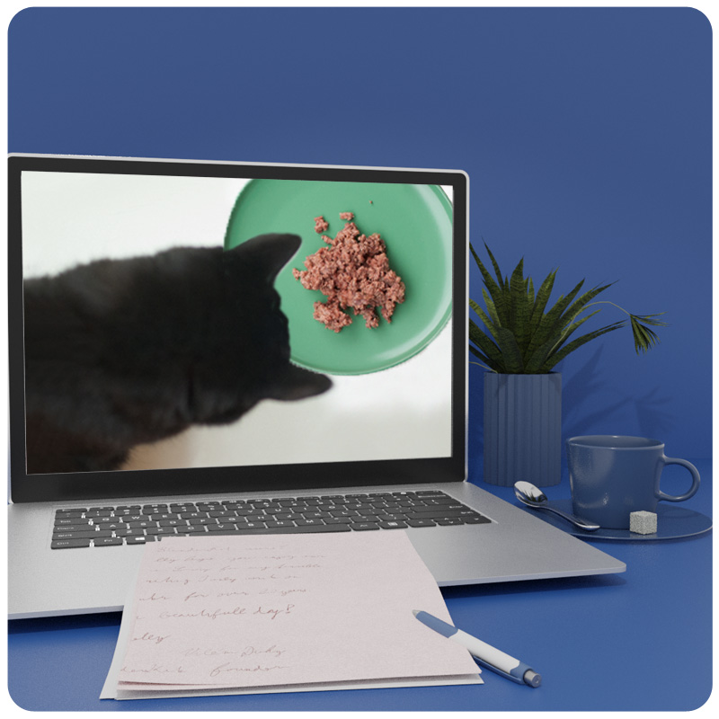 Futter-Workshop