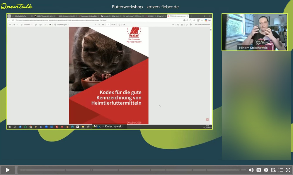 Aus dem letzten Workshop: Hintergrundwissen zu Deklarationen sammeln